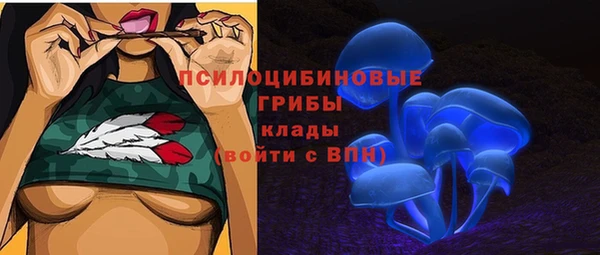 ECSTASY Снежногорск