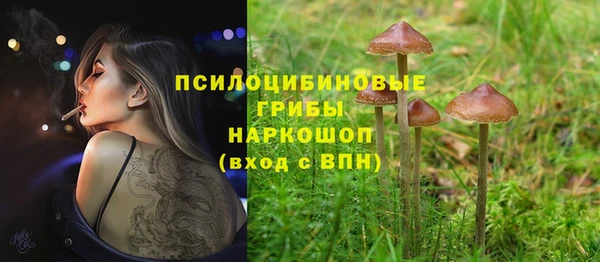 крисы Михайлов