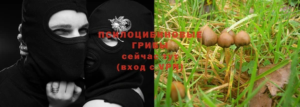 крисы Михайлов