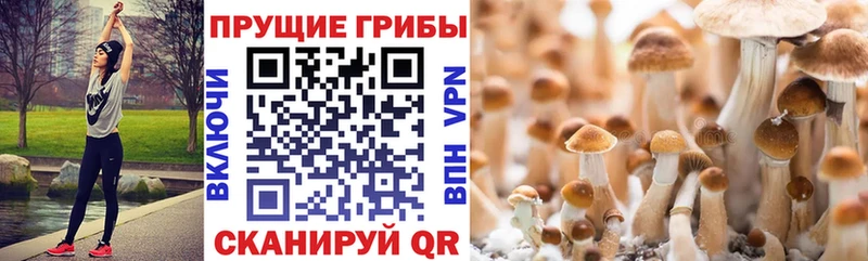 Псилоцибиновые грибы мицелий  Яхрома 